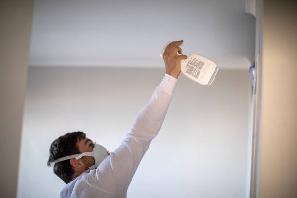 Professional Mold Removal in Morrisville, NY