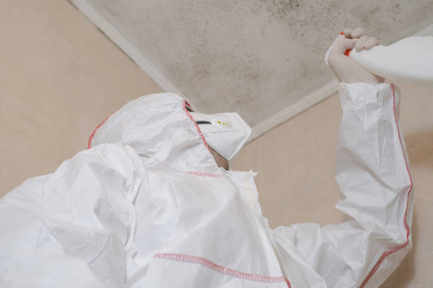 Best Crawl Space Mold Removal  in Morrisville, NY